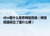 diss是什么意思網(wǎng)絡(luò)用語（網(wǎng)絡(luò)用語笑拉了是什么梗）