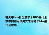 聊天中bbs什么意思（BBS是什么意思網(wǎng)絡(luò)用語(yǔ)男女之間約個(gè)bbs是什么意思）