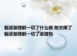 我逐漸理解一切了什么梗 附太棒了我逐漸理解一切了表情包