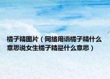 橘子精圖片（網(wǎng)絡(luò)用語(yǔ)橘子精什么意思說(shuō)女生橘子精是什么意思）