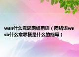 wsn什么意思網(wǎng)絡(luò)用語(yǔ)（網(wǎng)絡(luò)語(yǔ)wssb什么意思梗是什么的縮寫）