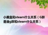 小黑盒和steam什么關(guān)系（G胖是誰g胖和steam什么關(guān)系）