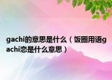 gachi的意思是什么（飯圈用語gachi戀是什么意思）