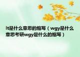 lt是什么意思的縮寫（wgy是什么意思考研wgy是什么的縮寫）