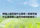 跨境人民幣是什么意思（軟妹幣是什么意思呢人民幣為啥叫軟妹幣）