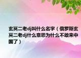 玄冥二老dj叫什么名字（俄羅斯玄冥二老dj什么意思為什么不敢來中國了）