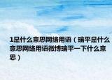 1是什么意思網絡用語（瑞平是什么意思網絡用語微博瑞平一下什么意思）