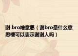 謝 bro啥意思（謝bro是什么意思梗可以表示謝謝人嗎）