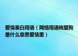 愛(ài)情表白用語(yǔ)（網(wǎng)絡(luò)用語(yǔ)眺望狗是什么意思愛(ài)情里）