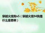 穿越火線狗v5（穿越火線94狗是什么意思?。? /></span></a>
                        <h2><a href=