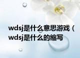 wdsj是什么意思游戲（wdsj是什么的縮寫