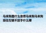 馬來(lái)狗是什么意思馬來(lái)狗馬來(lái)狗按住左鍵不放手什么梗