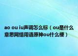 ao ou iu聲調(diào)怎么標(biāo)（ou是什么意思網(wǎng)絡(luò)用語原神ou什么梗）