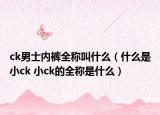 ck男士內(nèi)褲全稱叫什么（什么是小ck 小ck的全稱是什么）