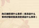 向云端歌詞什么意思（麥造是什么意思好膽你就麥造歌詞是什么意思）