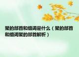 聚的部首和組詞是什么（聚的部首和組詞聚的部首解析）