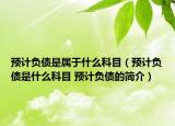 預(yù)計(jì)負(fù)債是屬于什么科目（預(yù)計(jì)負(fù)債是什么科目 預(yù)計(jì)負(fù)債的簡介）
