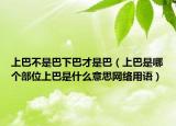 上巴不是巴下巴才是巴（上巴是哪個部位上巴是什么意思網(wǎng)絡(luò)用語）