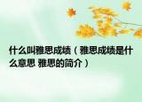 什么叫雅思成績（雅思成績是什么意思 雅思的簡介）
