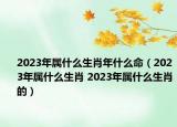 2023年屬什么生肖年什么命（2023年屬什么生肖 2023年屬什么生肖的）