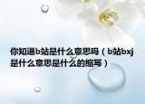 你知道b站是什么意思嗎（b站bxj是什么意思是什么的縮寫）