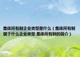 集體所有制企業(yè)類型是什么（集體所有制屬于什么企業(yè)類型 集體所有制的簡(jiǎn)介）