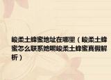 峻柔土蜂蜜地址在哪里（峻柔土蜂蜜怎么聯(lián)系她呢峻柔土蜂蜜真假解析）
