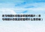 殺馬特團長你就是歌姬吧圖片（殺馬特團長你就是歌姬吧什么意思梗）