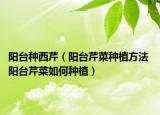 陽臺種西芹（陽臺芹菜種植方法 陽臺芹菜如何種植）