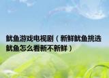 魷魚游戲電視?。ㄐ迈r魷魚挑選 魷魚怎么看新不新鮮）