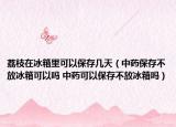 荔枝在冰箱里可以保存幾天（中藥保存不放冰箱可以嗎 中藥可以保存不放冰箱嗎）