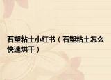 石塑粘土小紅書（石塑粘土怎么快速烘干）
