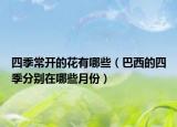 四季常開(kāi)的花有哪些（巴西的四季分別在哪些月份）
