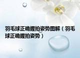 羽毛球正確握拍姿勢圖解（羽毛球正確握拍姿勢）