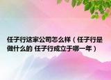 任子行這家公司怎么樣（任子行是做什么的 任子行成立于哪一年）