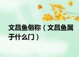 文昌魚俗稱（文昌魚屬于什么門）