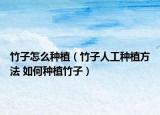 竹子怎么種植（竹子人工種植方法 如何種植竹子）