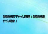 蹺蹺板屬于什么原理（蹺蹺板是什么現(xiàn)象）