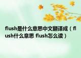 flush是什么意思中文翻譯成（flush什么意思 flush怎么讀）