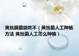黃絲膜菌能吃不（黃絲菌人工種植方法 黃絲菌人工怎么種植）