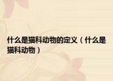 什么是貓科動(dòng)物的定義（什么是貓科動(dòng)物）