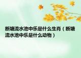 斷塘流水池中樂是什么生肖（斷塘流水池中樂是什么動物）