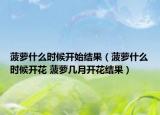 菠蘿什么時候開始結(jié)果（菠蘿什么時候開花 菠蘿幾月開花結(jié)果）