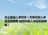怎么鑒別人參好壞（怎樣識別人參是否新鮮呢 如何識別人參是否新鮮呢）