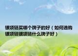銀項(xiàng)鏈買哪個(gè)牌子的好（如何選購(gòu)銀項(xiàng)鏈銀項(xiàng)鏈?zhǔn)裁磁谱雍茫? /></span></a>
                        <h2><a  title=