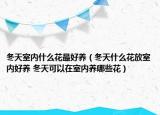 冬天室內(nèi)什么花最好養(yǎng)（冬天什么花放室內(nèi)好養(yǎng) 冬天可以在室內(nèi)養(yǎng)哪些花）