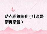 薩克斯管簡介（什么是薩克斯管）
