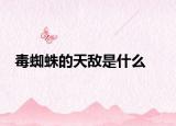毒蜘蛛的天敵是什么