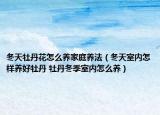 冬天牡丹花怎么養(yǎng)家庭養(yǎng)法（冬天室內怎樣養(yǎng)好牡丹 牡丹冬季室內怎么養(yǎng)）