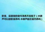 臥室、起居室的室內凈高不應低于（水葫蘆可以放臥室養(yǎng)嗎 水葫蘆能在室內養(yǎng)嗎）